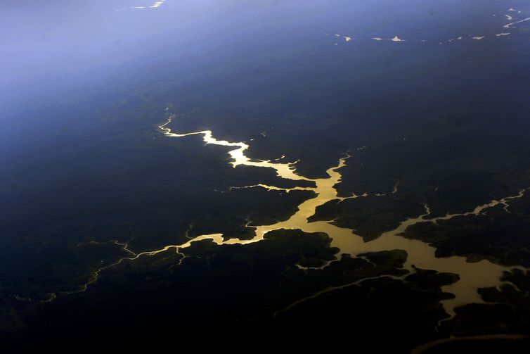 Foto: Valter Campanato/Agência Brasil – Vista aérea de floresta e rios da Amazônia 